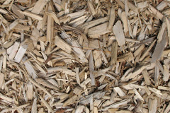 biomass boilers Alltami
